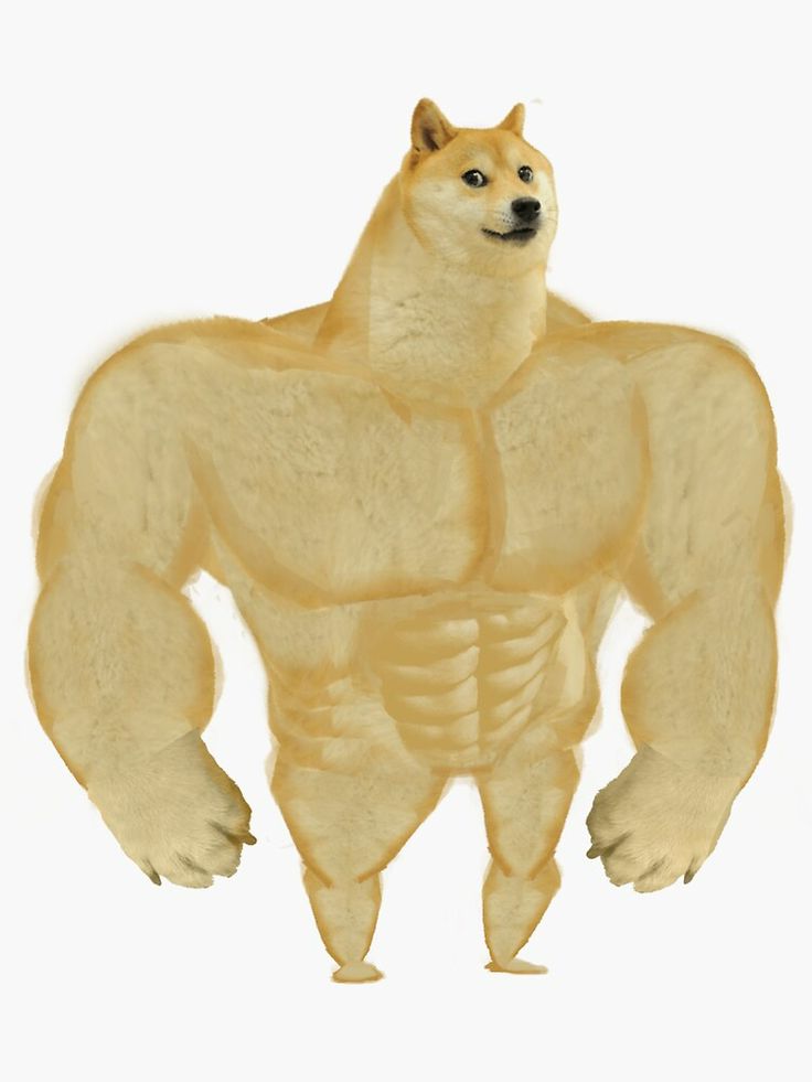 swole_king_doge.jpeg